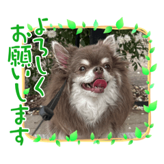 wendy_20251012082033
