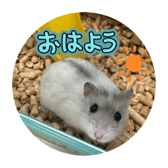 Chihiro_20251012005302