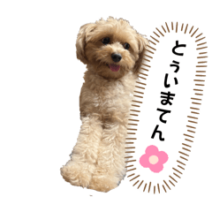 Marina_20251012102746