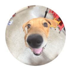 今天的我好開心！