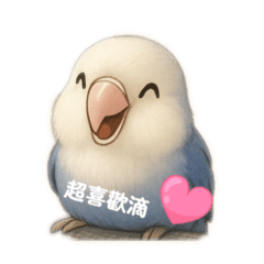 可可愛愛的鳥寶貝（2）