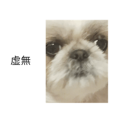 Lemon_20251012010559