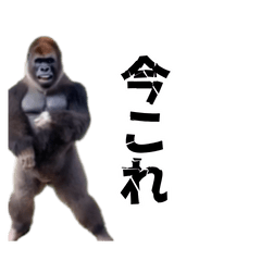 動く！横揺れゴリラ