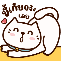 เจ้าเหมียว มาร์ชแมลโลว์