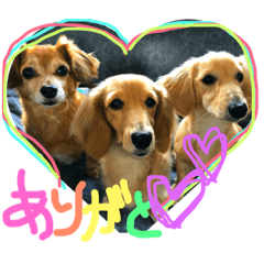 TiaraCrownriku