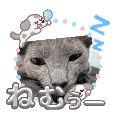 Panda_20251012084223