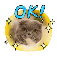 chocomint_20251011212651