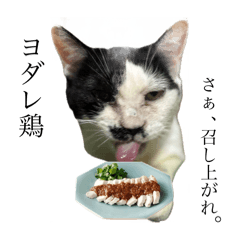 rinoha28_20251011223438