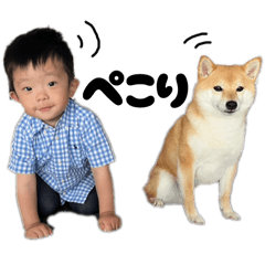 koko_20251011223053
