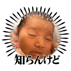 AYAME_20251012123533