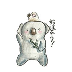 curipin_20251012131159