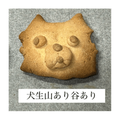 vivi_20251012133807