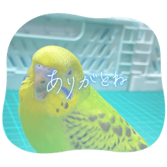 AN_20251012133154
