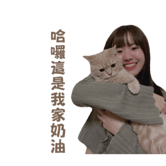 奶油貓貼圖2