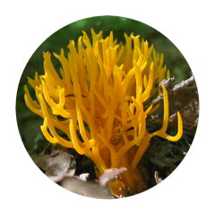 Yossan_20251012075636