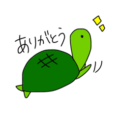 cuty turtle
