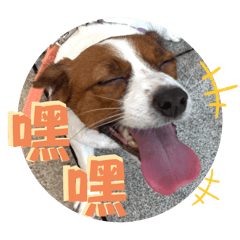 bluemonday.bruce_20251012123415