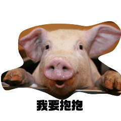 可愛實用的圖片