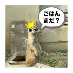 KAITO_20251012103129