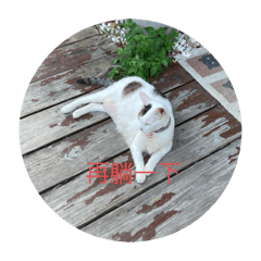 日常搞笑生活：