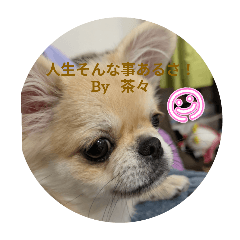 kocha_20251012143443