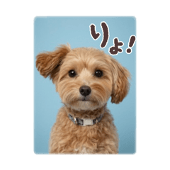 kurumi_20251012152413