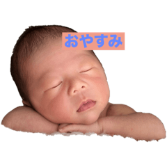 rei_20251012181344