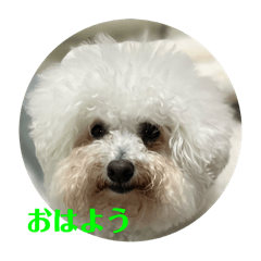 kakokako_20251012201028