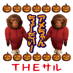 ＴＨＥ サル