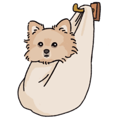 ポメラニアンのゆきむらのぐーたらスタンプ