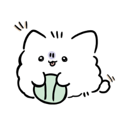 A Pomeranian in a bad mood