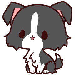 ボーダーコリーの「ブリ」