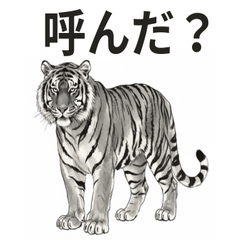 Cozy & Cheeky Tiger Stickers