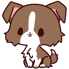 ボーダーコリーの「モカ」