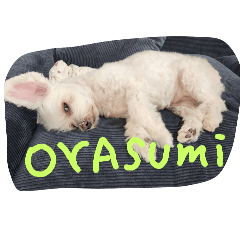 suzu_20251010194236