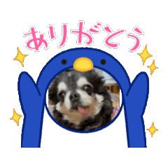 y_20251012170820