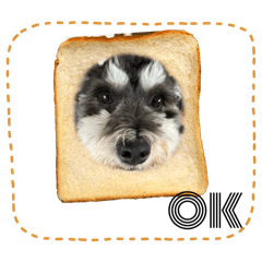 miyuu_20251012192418