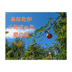 sanae_20251010110304