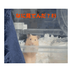 Natsu_20251010215535