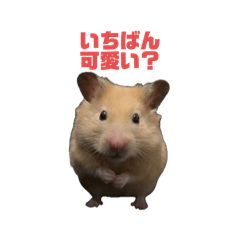 Natsu_20251010214724