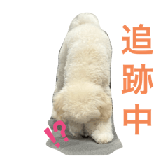 Himehimeko_20251012232059