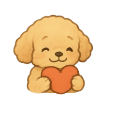 Fluffy Toy Poodle - Four Seasons