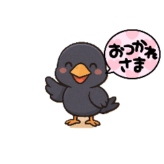 Crows and everyday life