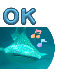 mahiro_20251012194439