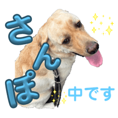 Konichan_20251012220349