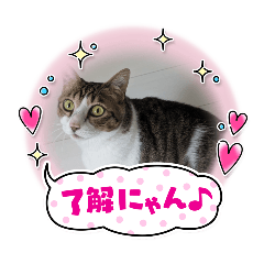 AKIKO_20251013070839