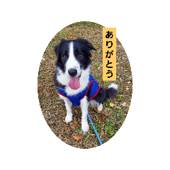 FUMIYO_20251013071257