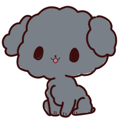 トイプードルの【レオ】