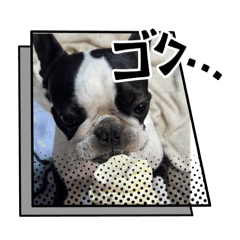 SOEDA_20251012212917