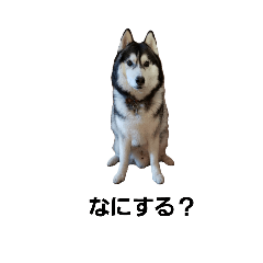 makoto_20251012212848